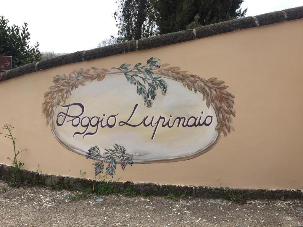 Podere Poggio Lupinaio San Martino sul Fiora Extérieur photo