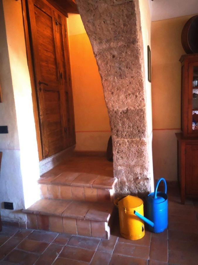 Podere Poggio Lupinaio San Martino sul Fiora Extérieur photo